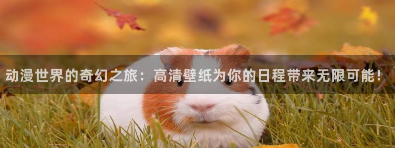 omofun动漫下载