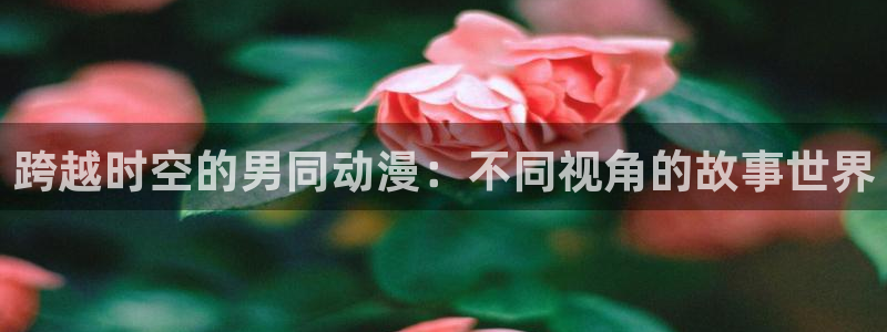 omofun在线观看免费动漫：跨越时空的男同动漫：不同视角的故事世界
