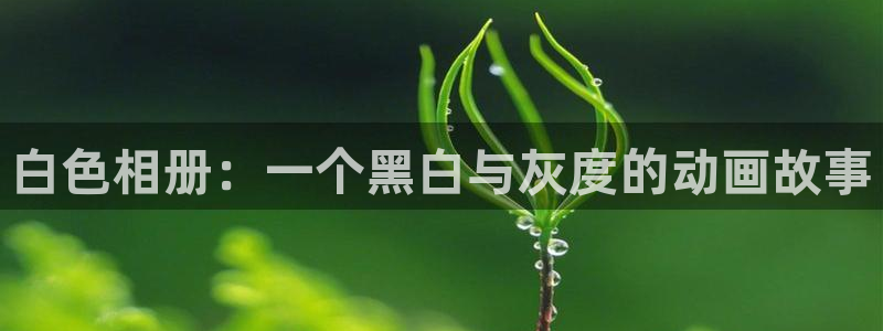 omofun官方版下载：白色相册：一个黑白与灰度的动画故事