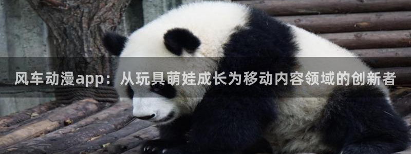 omofun官网下载入口最新：风车动漫app：从玩具萌娃成长为移动内容领域的创新者
