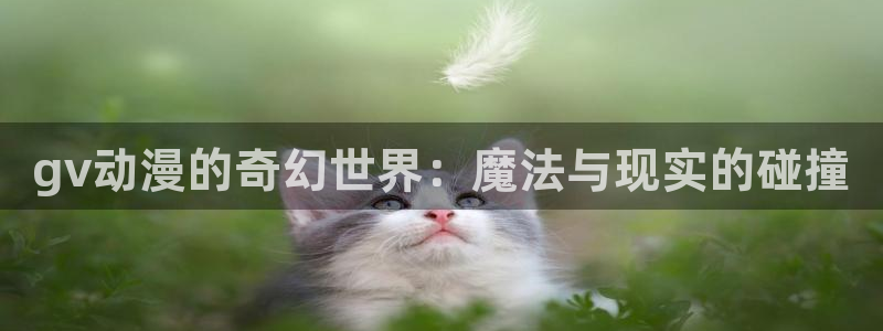 omofun动漫视频网：gv动漫的奇幻世界：魔法与现实的碰撞