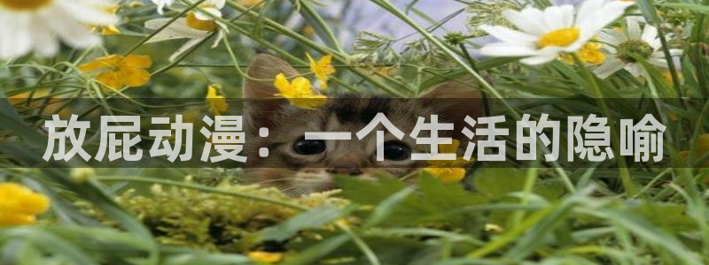 omofun免费看动漫：放屁动漫：一个生活的隐喻