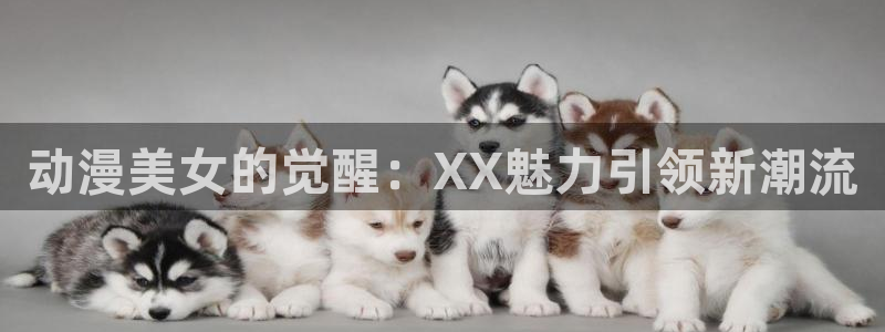 omofun.top：动漫美女的觉醒：XX魅力引领新潮流