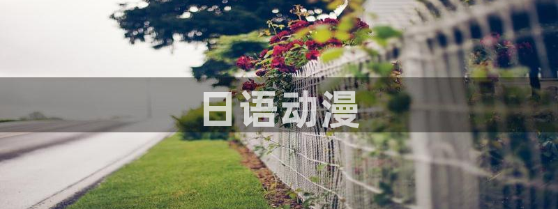 omofun更新：日语动漫