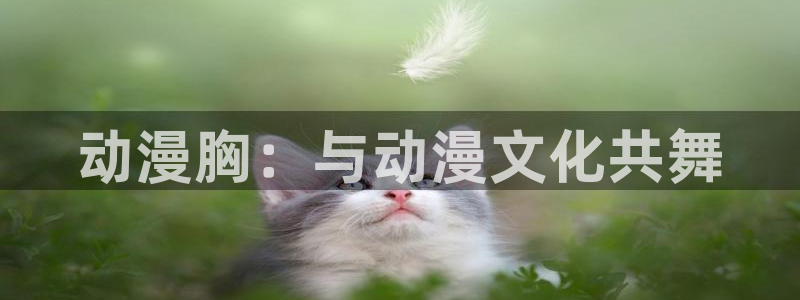 omofun官网网页版免费进入：动漫胸：与动漫文化共舞