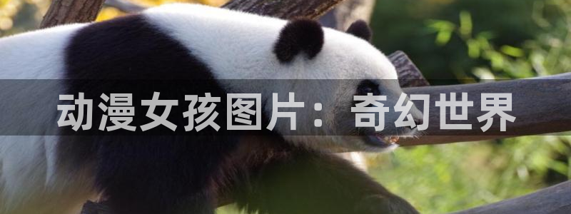 omofun动漫下载ios版：动漫女孩图片：奇幻世界