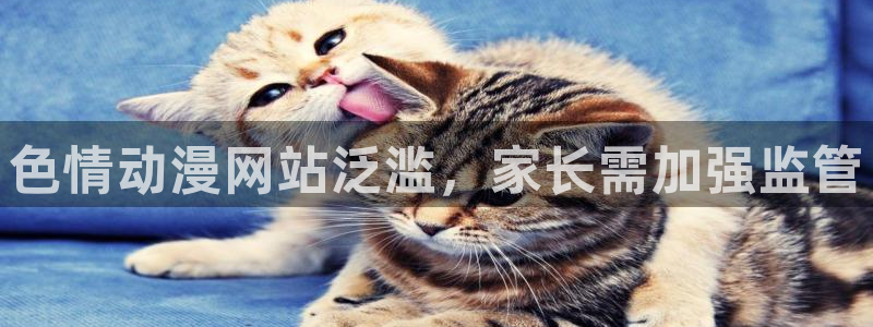 动漫共和国(omofun)官网：色情动漫网站泛滥，家长需加强监管
