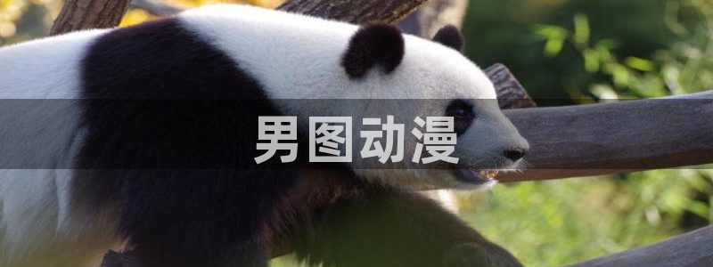 omofun官网进入：男图动漫