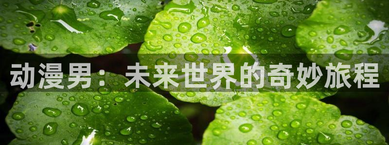 omofun正版官方：动漫男：未来世界的奇妙旅程