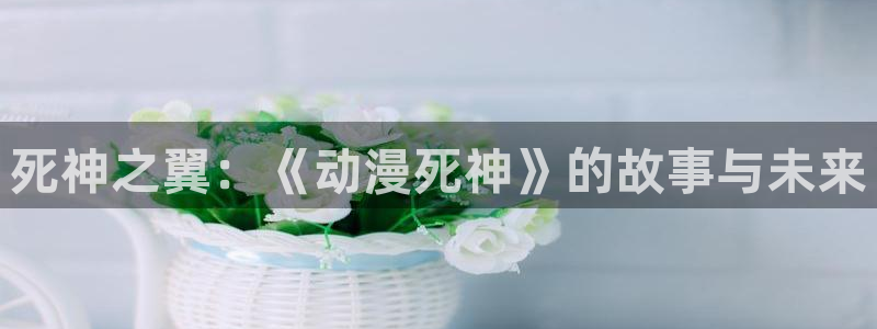 #omofun：死神之翼：《动漫死神》的故事与未来
