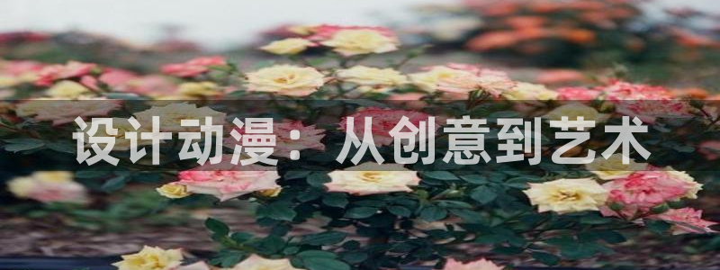 omofun,：设计动漫：从创意到艺术