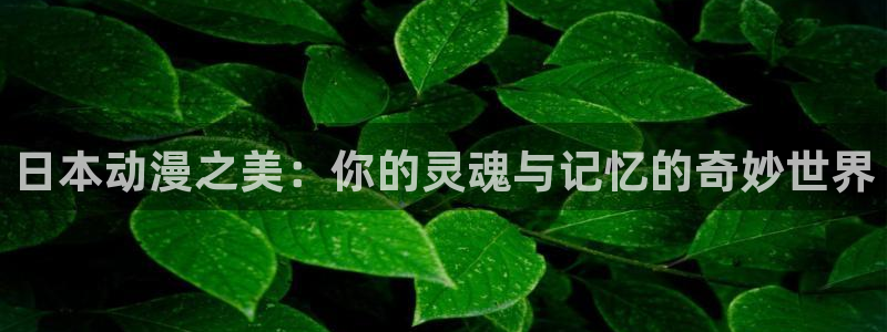 omofun苹果能下载吗：日本动漫之美：你的灵魂与记忆的奇妙世界
