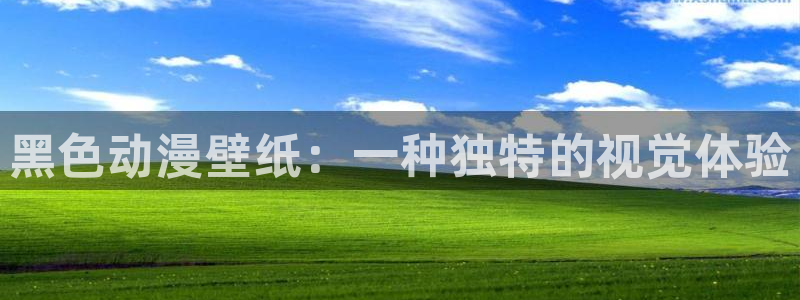 www.omofun：黑色动漫壁纸：一种独特的视觉体验