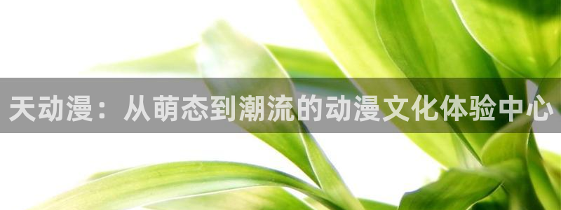 omofun动漫官网