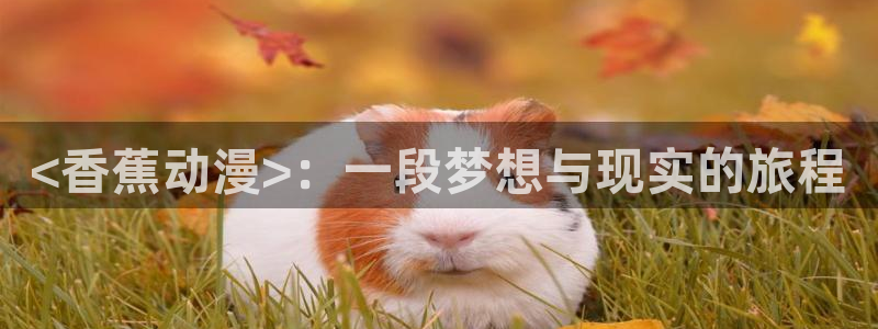 omofun动漫免费看官网入口在哪