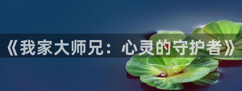 omofun网页版官网