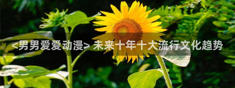 omofun官网网址