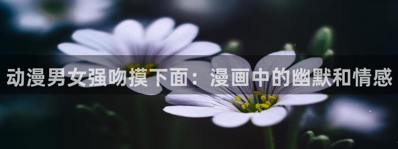 omofun动漫王国