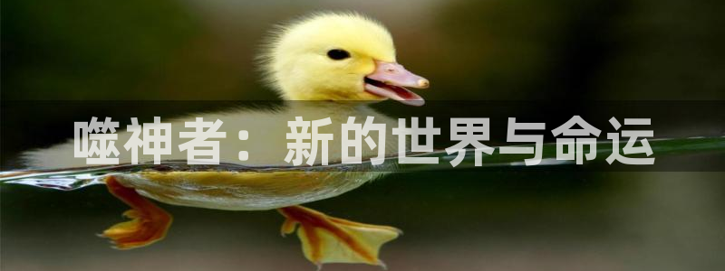 omofun有病毒吗