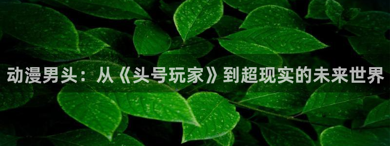 omofun网页版下载